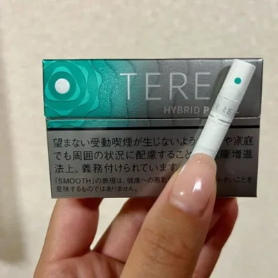iqos2-1-1.webp 【淡薄荷爆珠】日本菸彈 TEREA煙彈口味 IQOS ILUMA專用 TEREA加熱菸整條煙(10包)