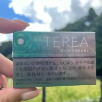 iqos3-1-1.webp 【淡薄荷爆珠】日本菸彈 TEREA煙彈口味 IQOS ILUMA專用 TEREA加熱菸整條煙(10包)