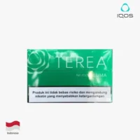 印尼2-1-1.webp 【淡薄荷】亞洲版Indonesia印尼IQOS菸彈 IQOS ILUMA專用 整條10包 三天到貨