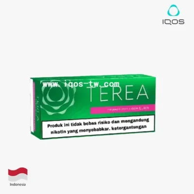 印尼4-1.webp 【淡薄荷】亞洲版Indonesia印尼IQOS菸彈 IQOS ILUMA專用 整條10包 三天到貨