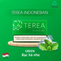 新IQOS印尼-1.webp 【淡薄荷】亞洲版Indonesia印尼IQOS菸彈 IQOS ILUMA專用 整條10包 三天到貨