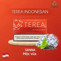 【琥珀】亞洲版Indonesia印尼IQOS煙彈口味 IQOS ILUMA專用 整條10包 三天到貨