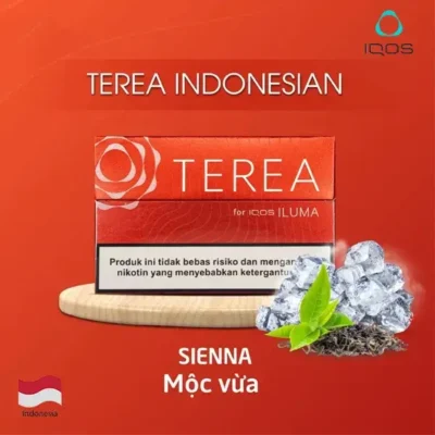 【琥珀】亞洲版Indonesia印尼IQOS煙彈口味 IQOS ILUMA專用 整條10包 三天到貨