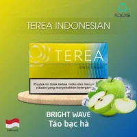 青檸1-1.webp 【青檸】亞洲版Indonesia印尼IQOS煙彈 IQOS ILUMA專用 整條10包 三天到貨